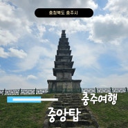 충주 여행 가볼만한 곳 국보 중앙탑사적공원