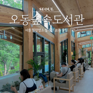 서울 힐링명소 오동숲속도서관 카페 대중교통 꿀팁