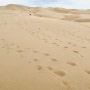 [몽골] 4박 5일 고비사막 투어 : 4일차 고비사막에서 바가 가즈링 촐로를 향해서, 결국 길을 잃음