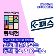 부산시 뉴미디어 멤버스와 함께 알아보는 동백패스 & K-패스 | 2024 부산시 뉴미디어 멤버스