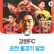 강원FC 춘천 홈경기 일정