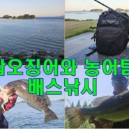 여수봄갑탐사,화양면농어탐사,강계배스탐사까지~