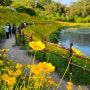 경남 가볼만한곳 함안 악양생태공원 둑방길 봄꽃명소 추천