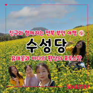 전북 부안 친구들과 함께하는 여행 5 유채꽃밭과 바다의 조화가 아름다운 포토스팟 수성당
