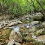 가평 유명산자연휴양림 자생식물원 산책