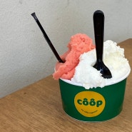 용산 효창공원역 용문동 젤라또 수제아이스크림 맛집 쿱 coop