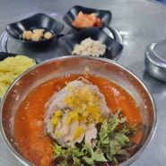 [강릉] 중앙시장 먹거리 감자전, 물회 맛집 노아회식당