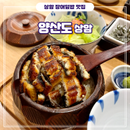 [상암] 정갈한 민물장어 덮밥(히츠마부시) 맛집 - 양산도 상암점