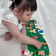 18개월 아기 책 - 블루래빗 언어발달 첫 놀이감