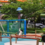아이와 함께 가기 좋은 부산 다대포 통일아시아드공원 분수 짚라인 트램폴린도 있어요