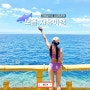 필리핀 보홀 자유여행 고래상어 나팔링 투어 비용 경비