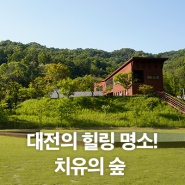 대전 가볼만한곳, 대전의 힐링 명소! 치유의 숲
