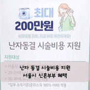 [난임21] 난자동결 시술비용 지원 200만원_서울시거주 신혼부부 혜택