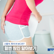 혈변 원인 선홍색 피 보인다면 주의