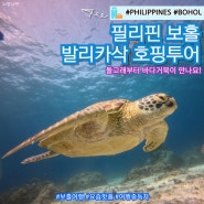 필리핀 보홀 가족 자유여행 발리카삭 돌고래 프리미엄 놀다보홀 한인 호핑투어 가격 업체