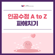 홍성난임 :: 인공수정 A to Z 파헤치기