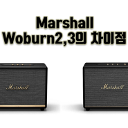 마샬(Marshall) 인테리어 매장 스피커로 좋은 워번2(Woburn2)와 워번3(Woburn3)의 차이점