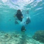 [괌 여행] 괌 스쿠버다이빙 후기 / 마이리얼트립 써니다이브 / 다이빙 초심자의 체험기