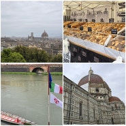 [유럽여행 11일차] 피렌체(미켈란젤로 광장/피렌체 역사지구) -> 로마로 이동