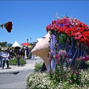 전남 축제 곡성 장미축제 섬진강 기차마을 곡성세계장미축제 장미공원 5월축제