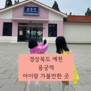 경북 예천 여행 아이랑 용궁역 가을동화 배경 토끼와 자라