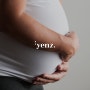 임신8개월 임산부 변비 힘주기 철분제 부작용 변비