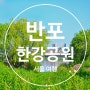 서울 갈만한곳 반포 한강공원 볼거리 즐길거리