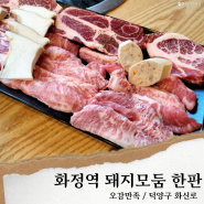 일산 화정역 맛집 고기집/오감만족, 화정역 가성비 고기집