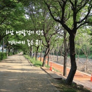 서울근교 하남 가볼만한곳 맨발걷기장소 한강뚝방모랫길 황톳길