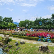 곡성장미축제 섬진강기차마을 전남 5월 데이트 가볼만한곳 추천