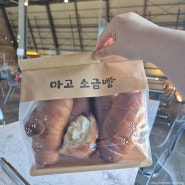 대구 동구 마고플레인 아양, 소금빵 5개 9900원 +베이커리 종류