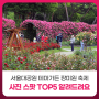 서울대공원 테마가든 장미원 축제 사진 스팟 TOP5 알려드려요