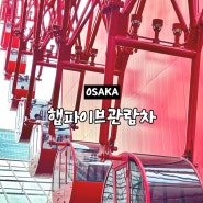 우메다 놀거리 오사카 햅파이브 관람차 가격 예약 시간