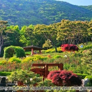 인천 가볼만한 곳 나무그늘 시원한 평화로운 산책길 계양산 장미원 계양근린공원