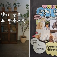 (티저트)반려동물 고양이 굿즈 가족티 커스텀 티셔츠 소량 단체티 주문제작