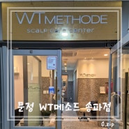 WT메소드 송파점 탈모 스페셜 케어 후기