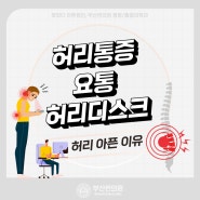 갑자기 허리 아플 때 허리통증 요통은 무조건 허리디스크일까 완화방법 증상 알아보기 (부산 해운대구 정형외과)