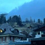 0222 스위스 여행 2일차 2 : 피르스트 그린델발트, 겨울 케이블카 액티비티 운행시간, 인터라켄 vip패스, 2월 날씨 옷차림