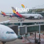 일본 도쿄 비행기표 예약 + 도쿄 항공권 특가 싸게 사는 법