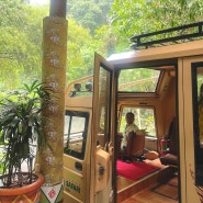 [발리여행] 타만 사파리 발리,사자를 보면서 식사할 수 있는 라이언 레스토랑 방문후기