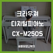 [신제품] 크라우져 전자피아노 CX M250S 교육용 설치 후기