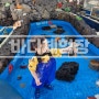 [아기랑 놀곳] 제주 김녕 | 시간제한 없는 바다생물 체험 가능한 바다체험장