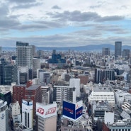 오사카 여행 : 헵파이브 관람차타고 킹받는 가챠 뽑기 ㅋㅋ