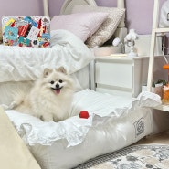 이케아 강아지 침대보다 편한 대형견 애견 방석 세탁 쉬운 화이트리퍼블릭