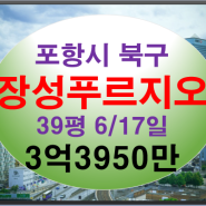 장성푸르지오경매 포항시 북구 장성동 18층 39평 포항아파트경매
