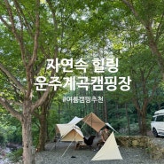 여름철 시원한 힐링 캠핑, 운주계곡캠핑장 대전 근교 계곡캠핑장