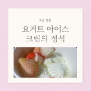 요아정, 요거트 아이스크림의 정석 솔직 후기