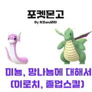 포켓몬고 미뇽, 망나뇽에 대해서 알아보자 - 진화 방법, 졸업스킬, 이로치, 티어