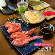 왕십리 양고기 맛집 또갈집 양가