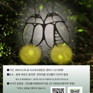 국가생태관광지역 옥천 안터마을서 '반딧불이 축제' 개최